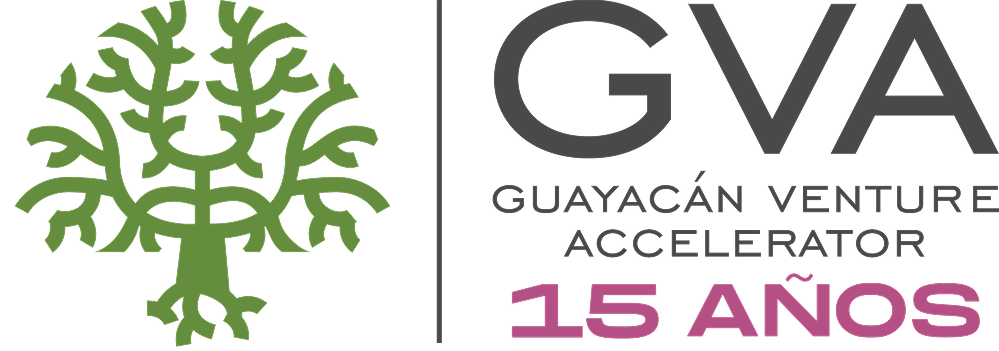 GVA 15 Años Logo