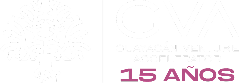 GVA 15 Años